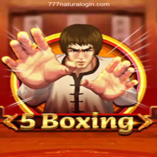 Exploring the World of 5Boxing: Official Games at 777Natura